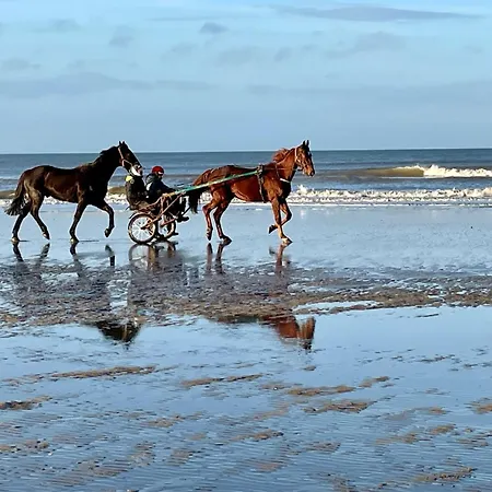 Manoir Des étangs Appartamento Croissanville