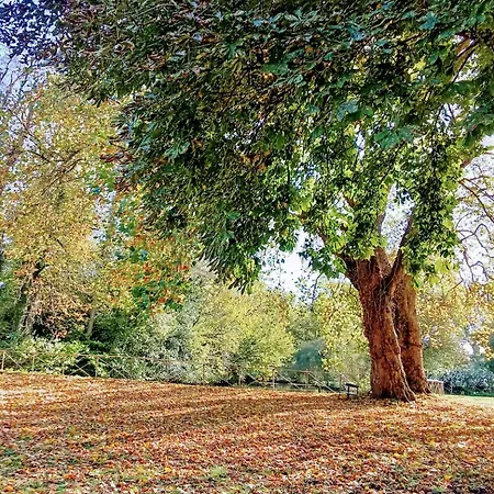Manoir Des Etangs *
