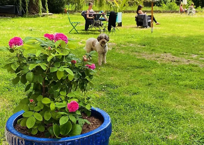 Appartamento Manoir Des étangs *