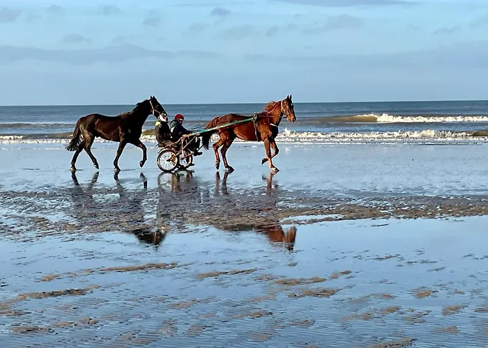 Manoir Des étangs Appartamento Croissanville