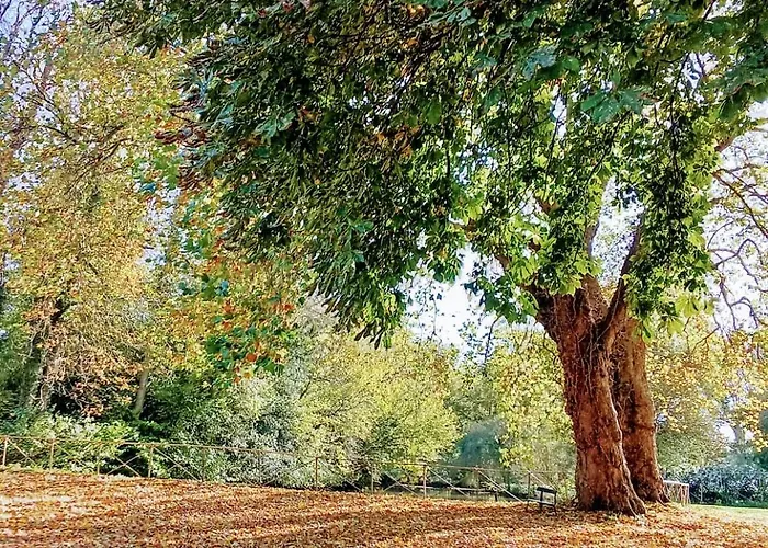 Manoir Des étangs *